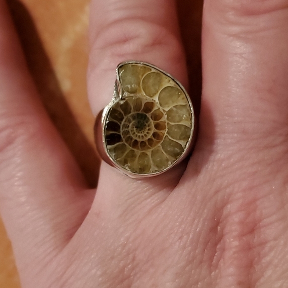 New Men's Ammolite 925 Silver Ring. - Picture 6 of 8